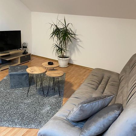 Despot Apartmani Младеновац Экстерьер фото
